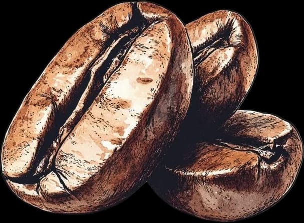 Bean Sourcing